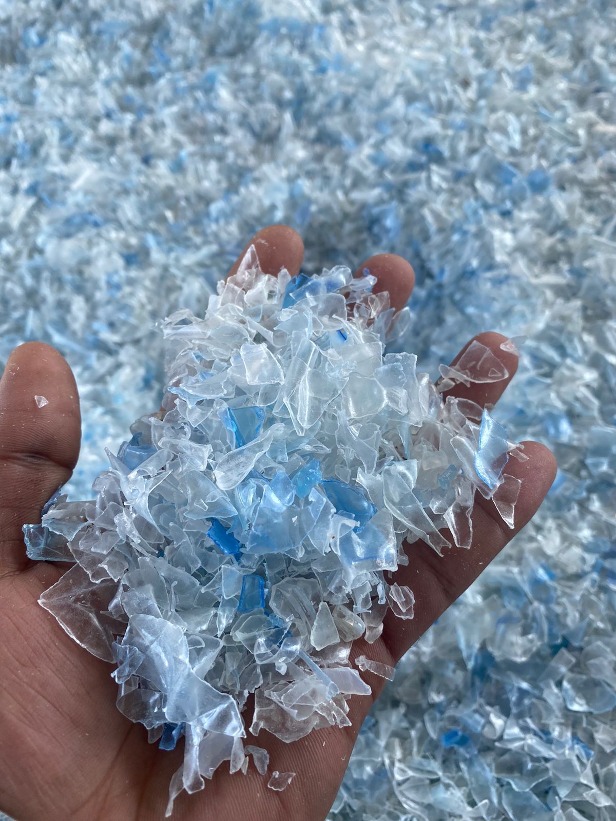 WhatsApp Image 2024-11-12 at 21.25.57